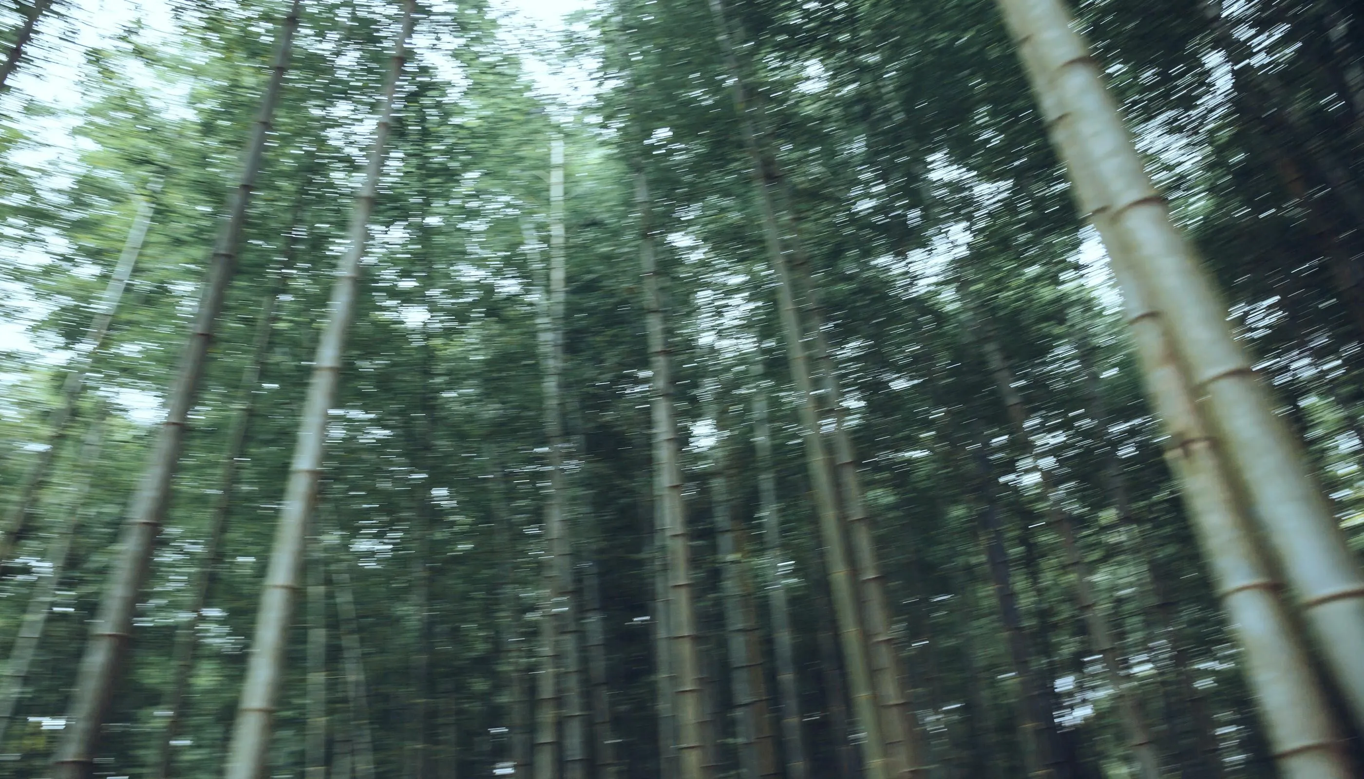 [YITUYU艺图语]2021.09.18 绣春刀 庄翰 [31P]插图1
